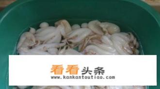 爆头长腿八爪鱼的简单做法 爆头长腿八爪鱼的简单做法