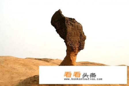 1月份想从高雄进台北出玩6天有什么好攻略吗 1月份想从高雄进台北出玩6天有什么好攻略吗