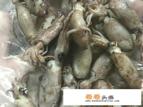 爆炒鱿鱼筒怎么做好吃