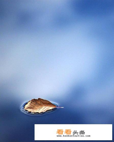 旅游赚钱的职业