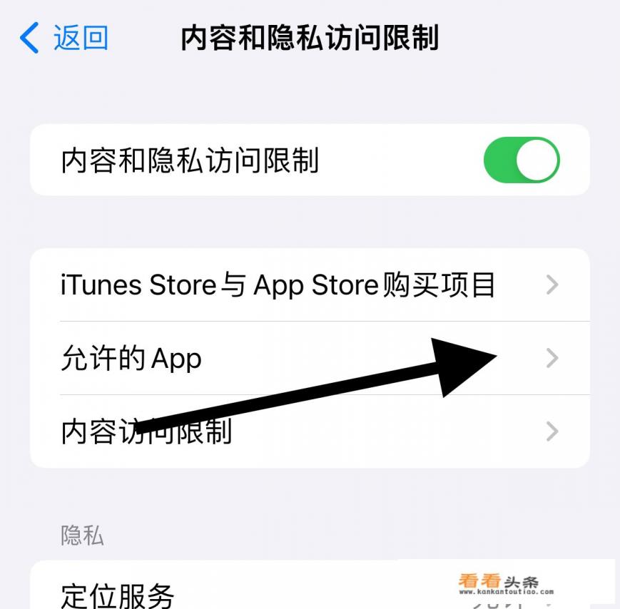 app访问限制哪里设置