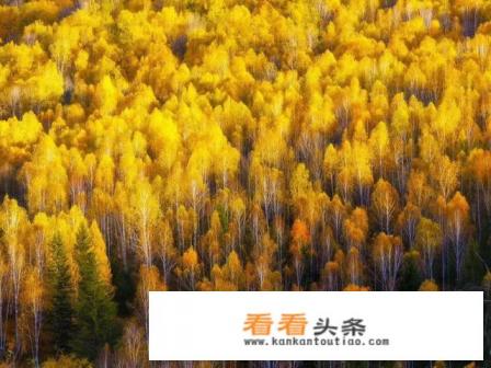 10月份国庆节适合去哪里旅游好呢，哪里的景色比较好