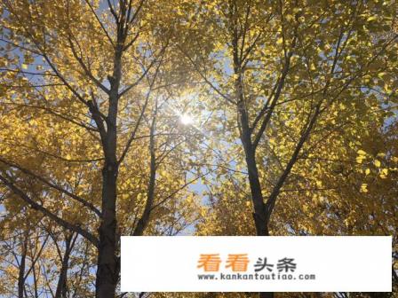 怎样介绍旅游景点，从哪几个方面入手