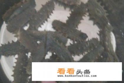 半干海参如何泡发