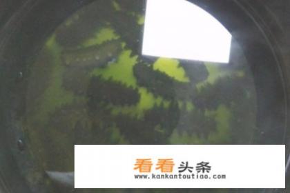 半干海参如何泡发