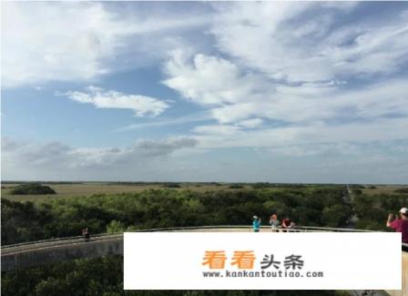 想请教旅游达人去迈阿密有哪些需要注意的问题吗