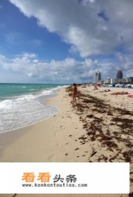 想请教旅游达人去迈阿密有哪些需要注意的问题吗