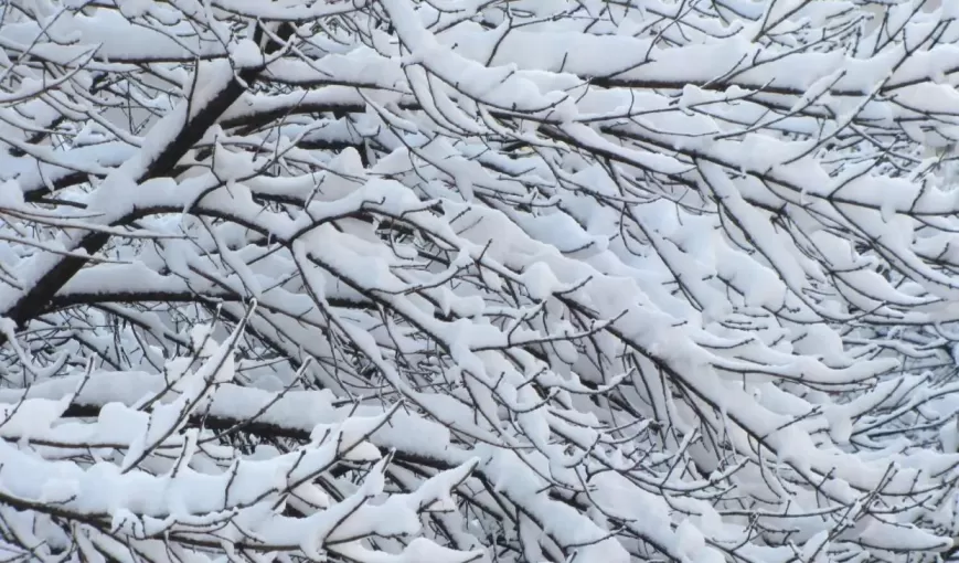 冬天北方适合玩的地方