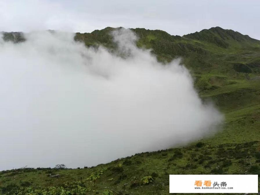 四川有高原反应的地方