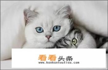 每日爆笑：几个幽默小笑话