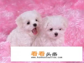 每日爆笑：几个幽默小笑话