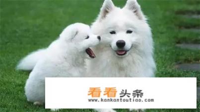 每日爆笑：几个幽默小笑话