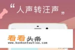 有和狗狗说话的软件吗