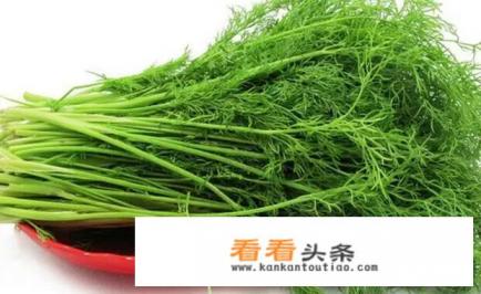 如何确定饺子馅料的配方？茴香鸡蛋粉条馅料配方