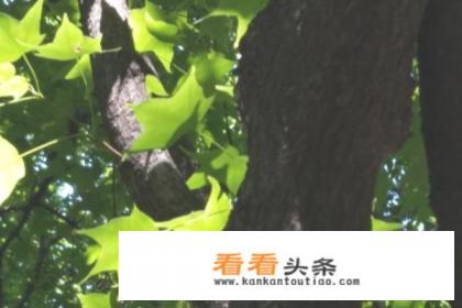 介休绵山游玩攻略