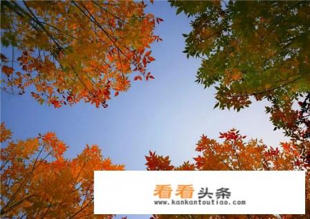 谁推荐几首适合做旅游视频背景音乐的歌曲最好