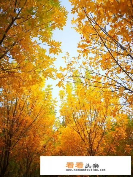 谁推荐几首适合做旅游视频背景音乐的歌曲最好