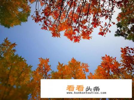 谁推荐几首适合做旅游视频背景音乐的歌曲最好