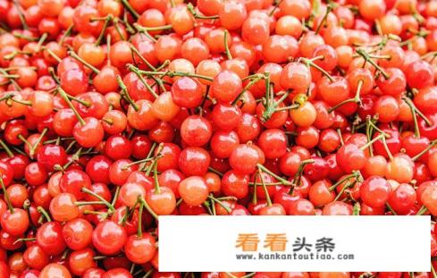 樱桃酒的正确泡法