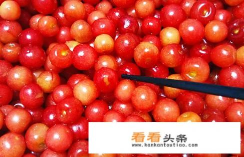 樱桃酒的正确泡法