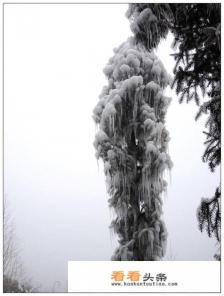 如何评价旅游地旅游规划方案 如何评价旅游地旅游规划方案