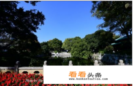 永康自驾游免费景点 永康自驾游免费景点