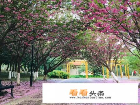 镇远有哪些景点镇远有什么好吃的