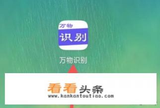 能辨别狗是什么品种的软件