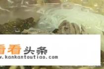 羊肉泡馍怎么做