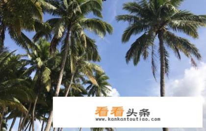 文昌有哪些旅游景点