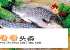 鱼丸子怎么做好吃