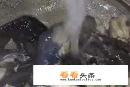 椰子鸡汤怎么做