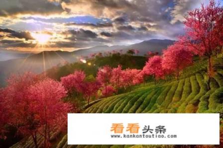 11月份去哪旅游好 11月份去哪旅游好