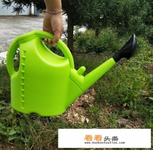 白醋浇芹菜的正确 *** 