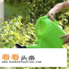 白醋浇芹菜的正确 *** 