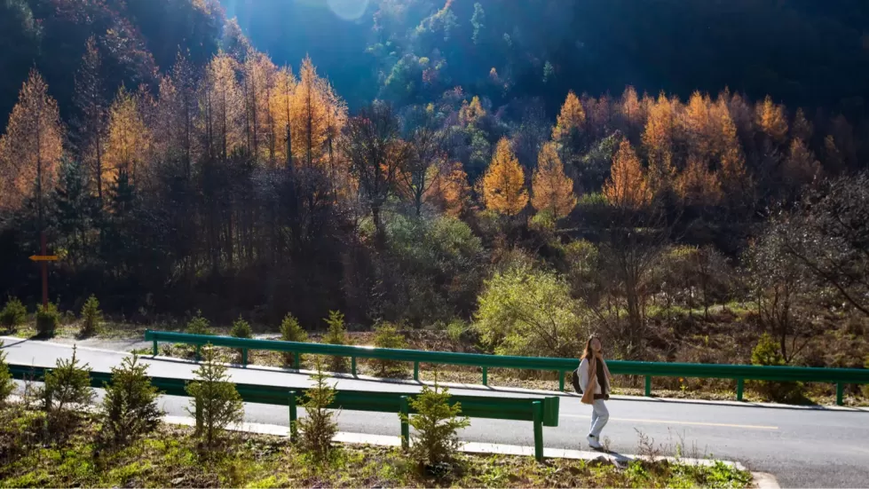 留坝著名旅游景点有哪些