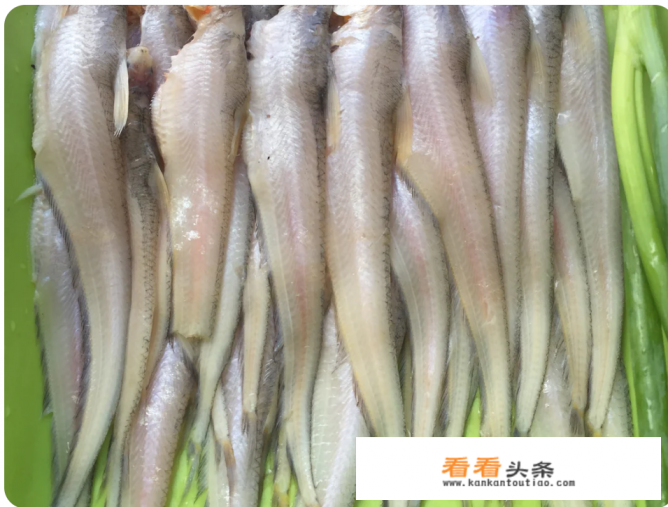 香煎凤尾鱼腌制配方