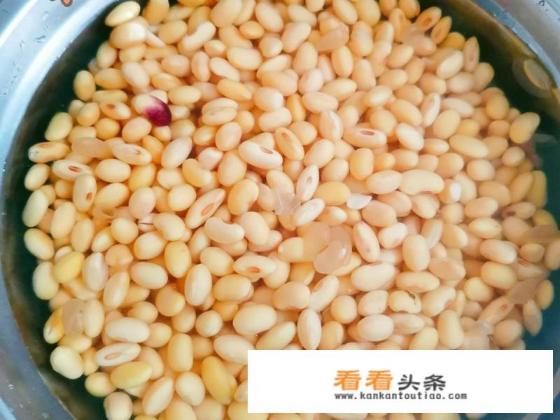 五香黄豆最正宗的做法 五香黄豆最正宗的做法