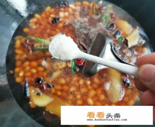 五香黄豆最正宗的做法 五香黄豆最正宗的做法