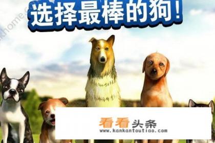 模拟动物的游戏