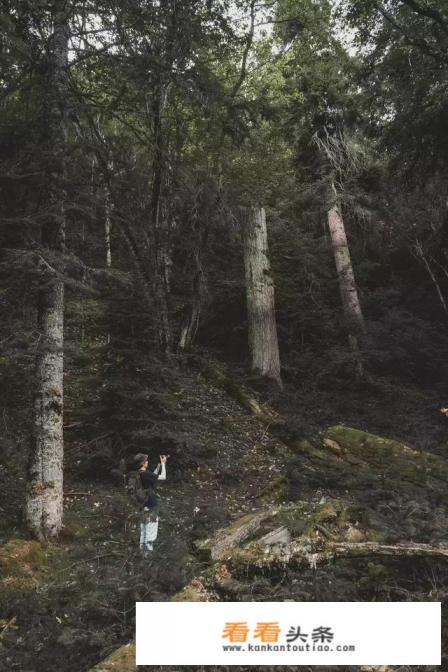 云南香格里拉几月份去最好最美