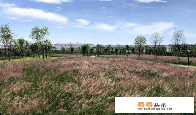 阳江高铁站旁边有啥好玩的