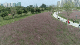 阳江高铁站旁边有啥好玩的