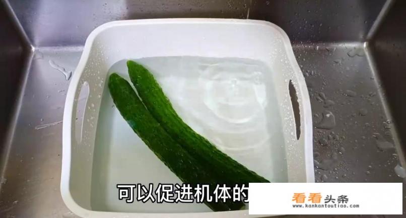 黄瓜鸡蛋减肥法正确做法