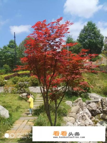 从西安出发去汉中旅游三天，求最佳路线