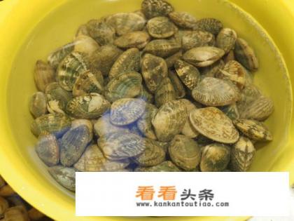 爆炒花甲的做法