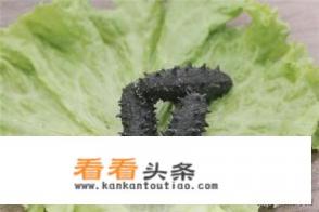 淡干海参保质期及保存 *** 