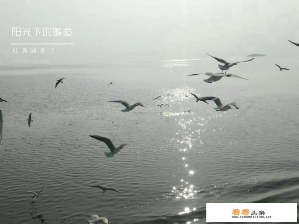 12月无锡哪里最适合旅游