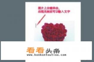 怎么用AI软件在图片上面加文字