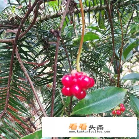 有两天时间休假去哪旅游比较好